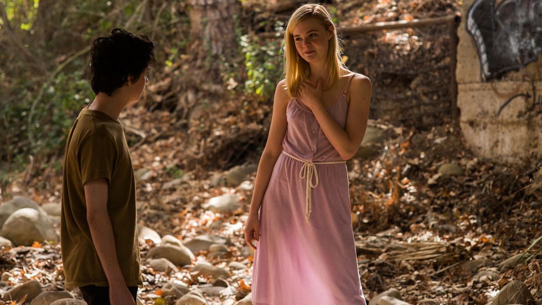 Jahrhundertfrauen backdrop 7