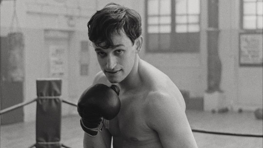 Нова хвиля backdrop 5