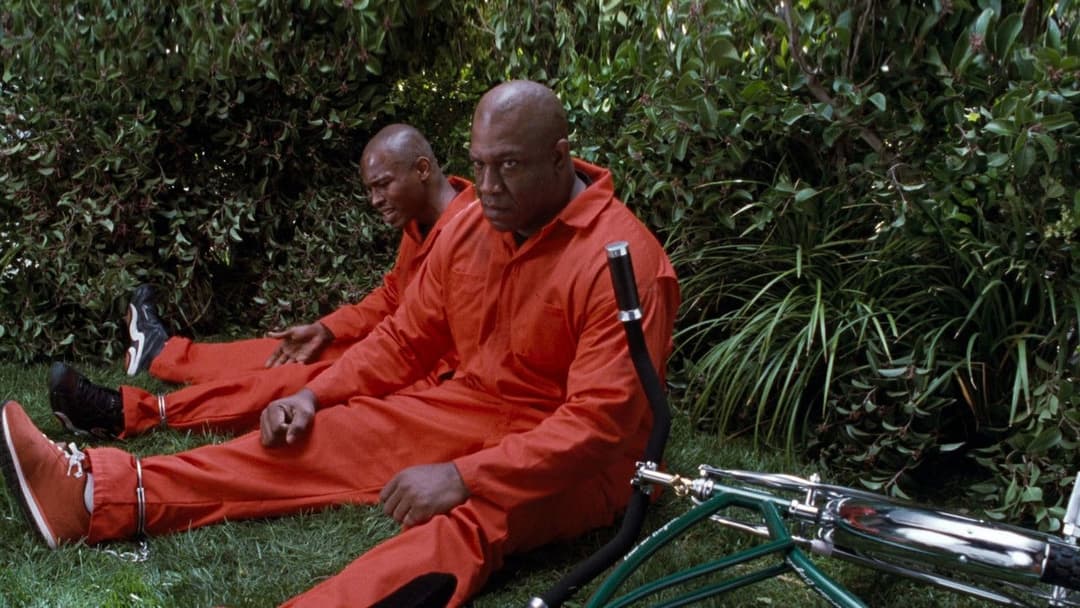 Next Friday backdrop 3