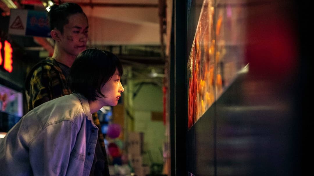 少年的你 backdrop 10