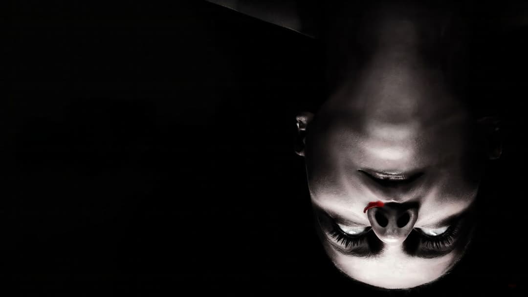 The Autopsy of Jane Doe backdrop 4