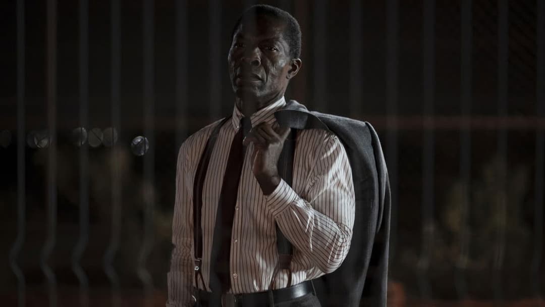 The Fence backdrop 7