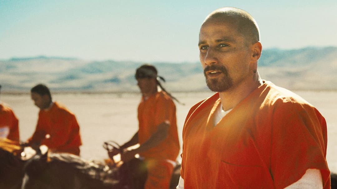 Мустанг backdrop 7