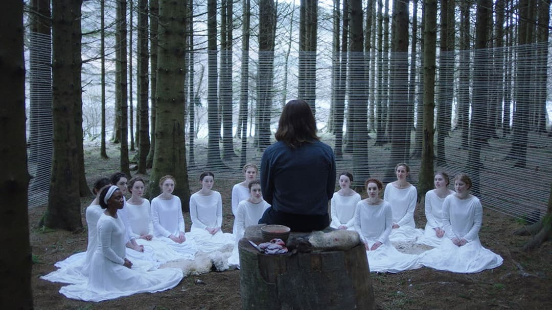 Інакше ягня backdrop 6