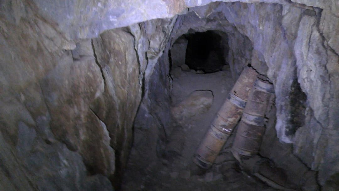 The Wilderness Tapes: Volume One backdrop 3