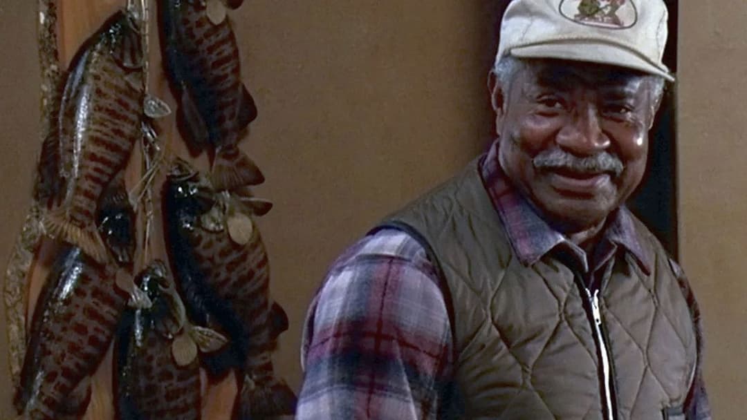 Ein verrücktes Paar backdrop 10