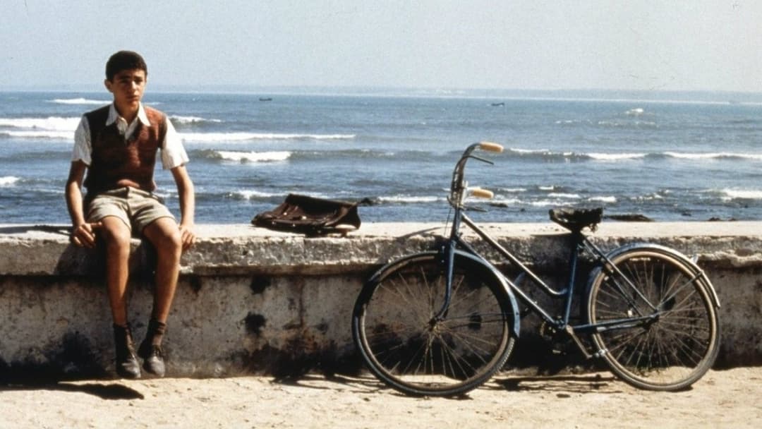 Der Zauber von Malèna backdrop 13