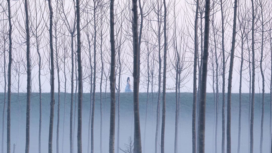 La grazia backdrop 8