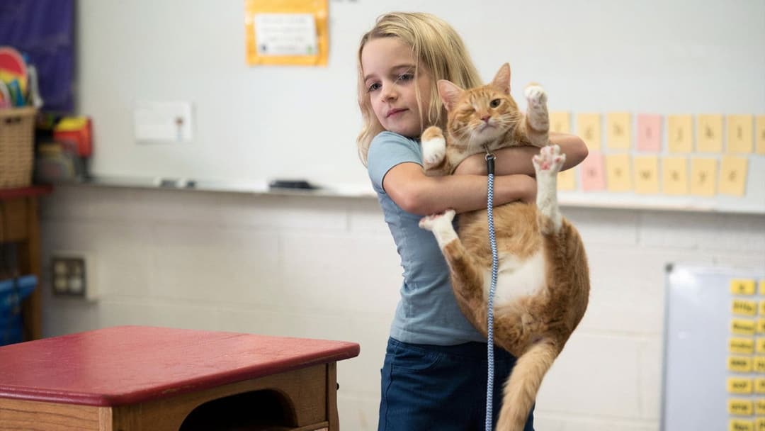 Обдарована backdrop 16