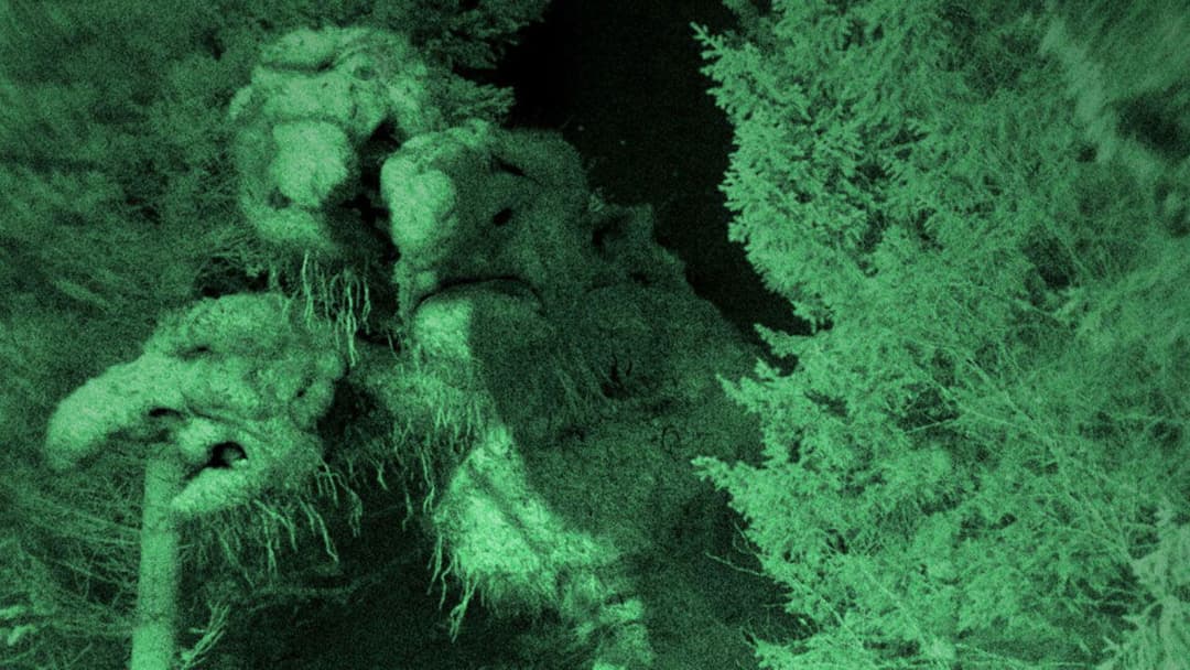 Trollhunter backdrop 13