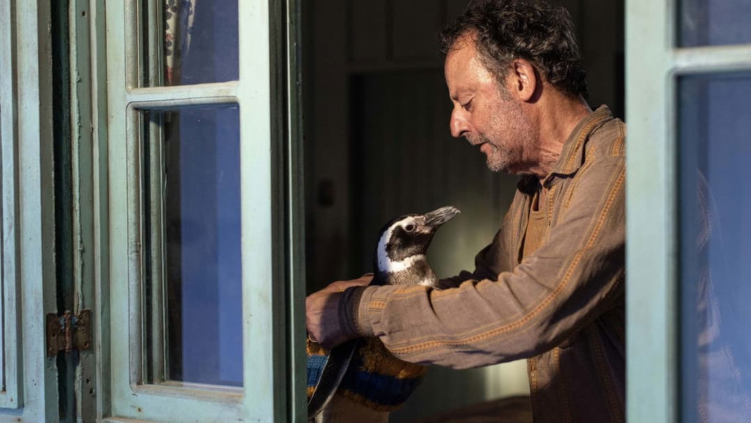 Мій друг пінгвін backdrop 11