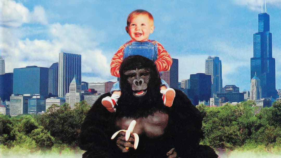 Juniors freier Tag backdrop 9