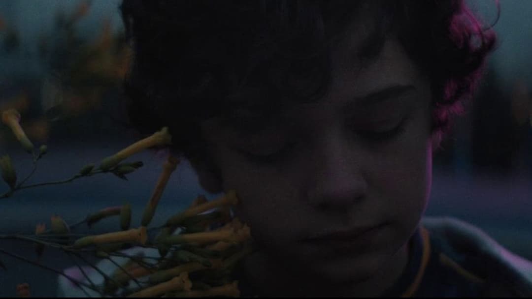 Honey Boy backdrop 9