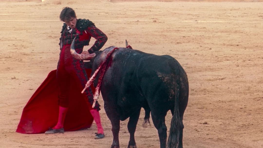 Вечори самоти backdrop 4