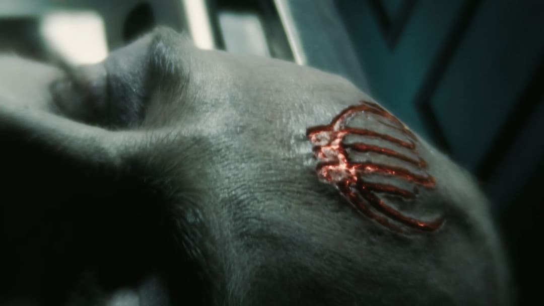 The Mortuary Assistant backdrop 6