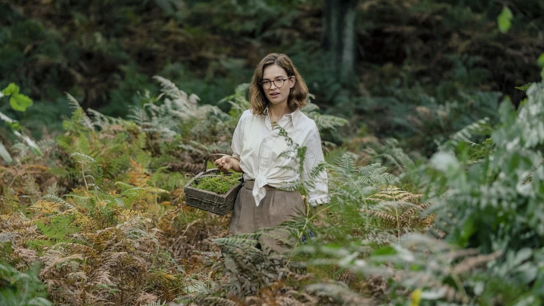 Розкопки backdrop 5