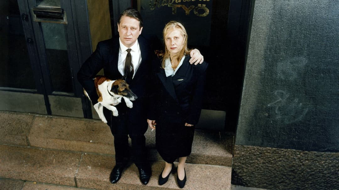 Хмари пливуть вдалечінь backdrop 5