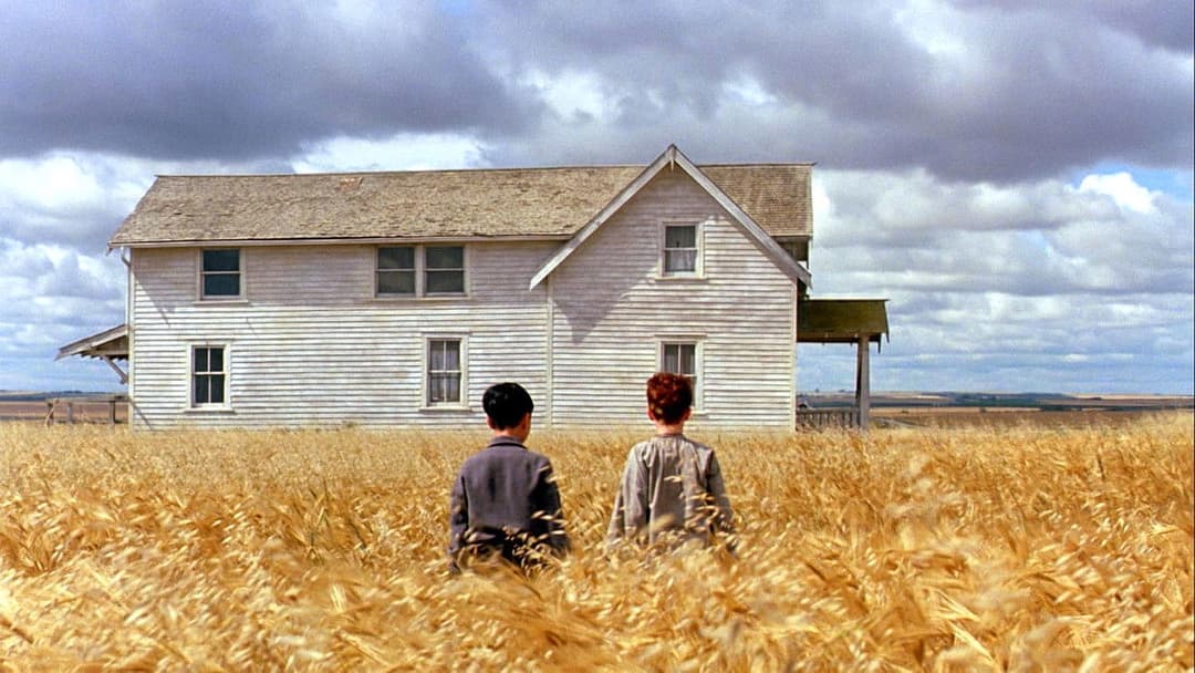 Schrei in der Stille backdrop 10