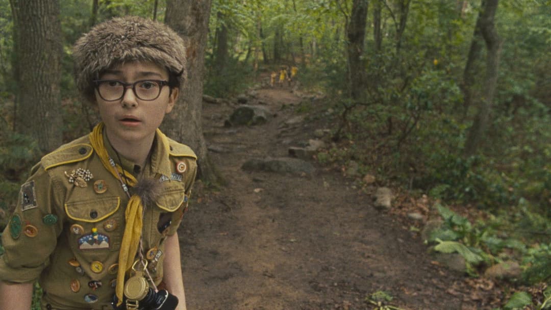 Moonrise Kingdom backdrop 16