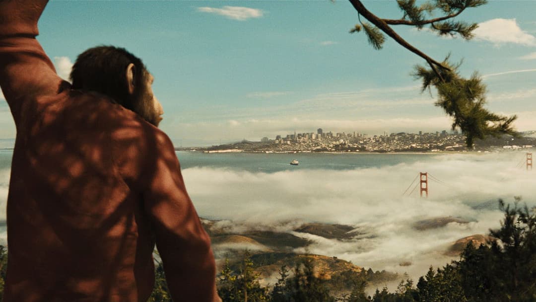 Planet der Affen - Prevolution backdrop 7