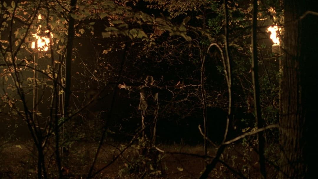 Таємничий ліс backdrop 17