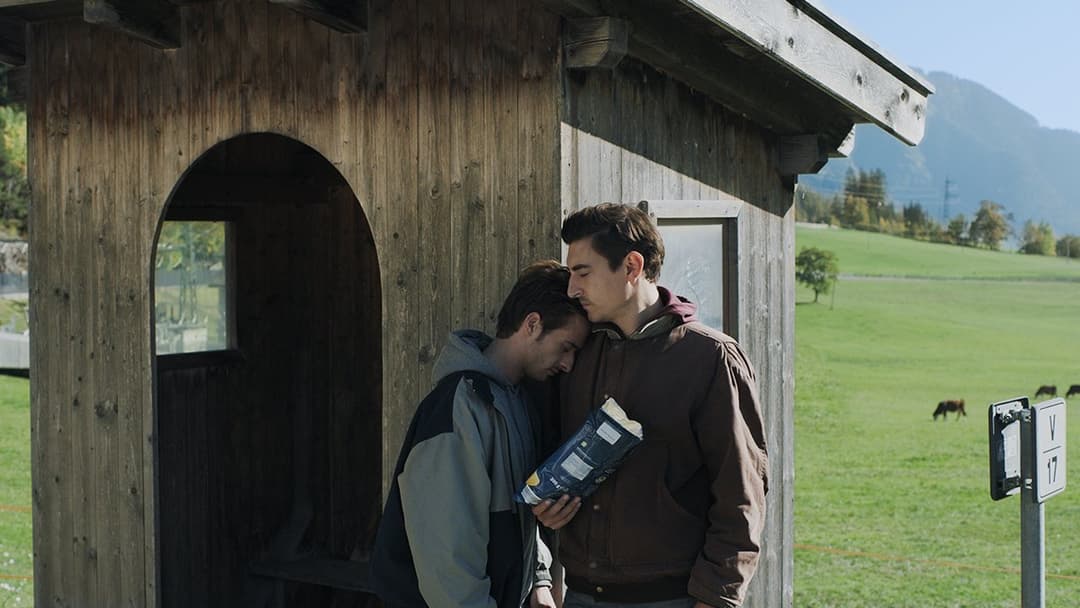 Ο Άνθρωπος με τις Απαντήσεις backdrop 6