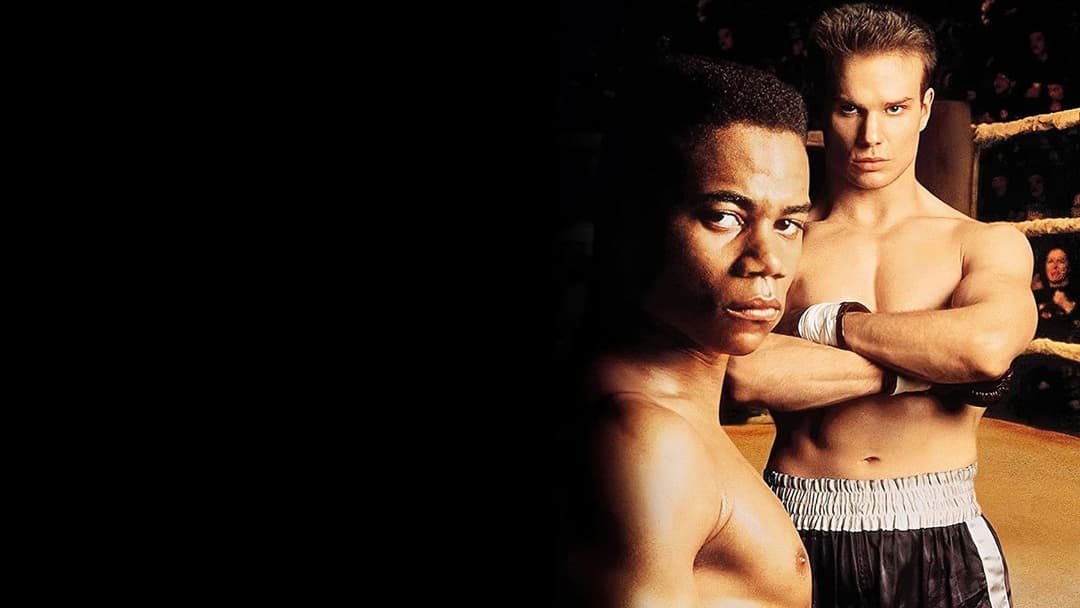 Fäuste - Du musst um dein Recht kämpfen backdrop 11