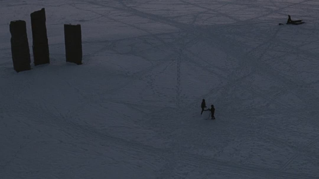 Sunshine backdrop 10