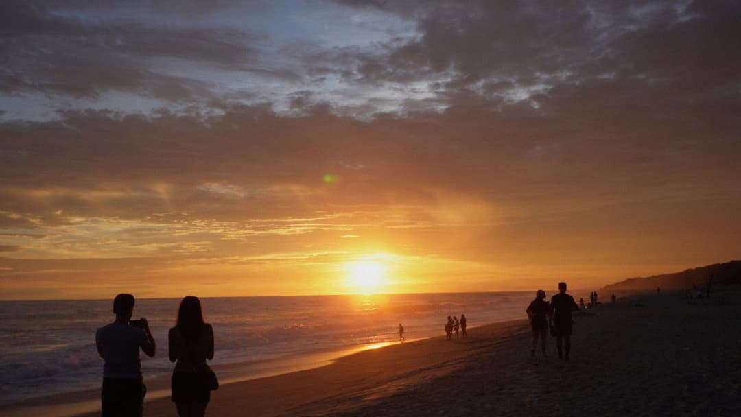 Return: Saving Turtles backdrop 4