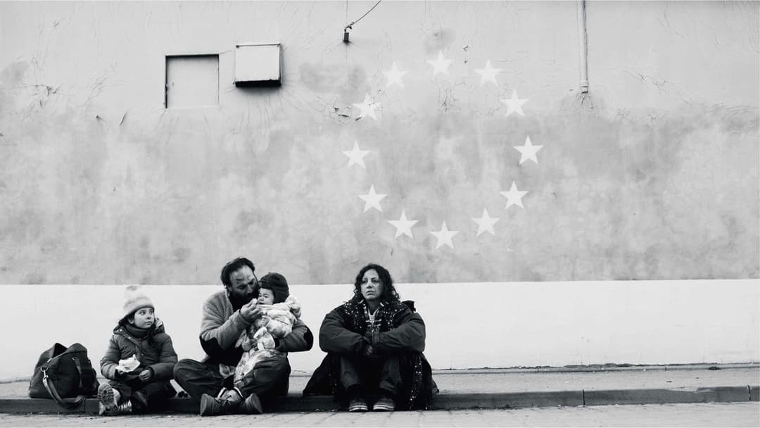 Green Border backdrop 4