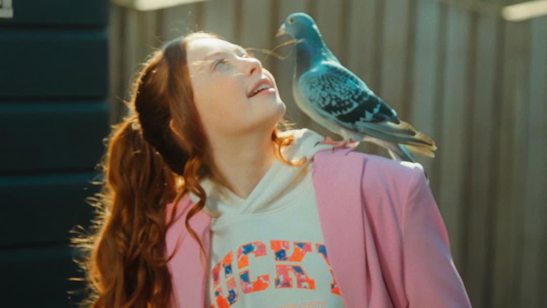 Duivinder backdrop 5