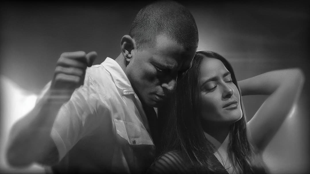 Magic Mike: The Last Dance backdrop 9