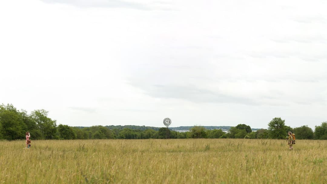 Moonrise Kingdom backdrop 10