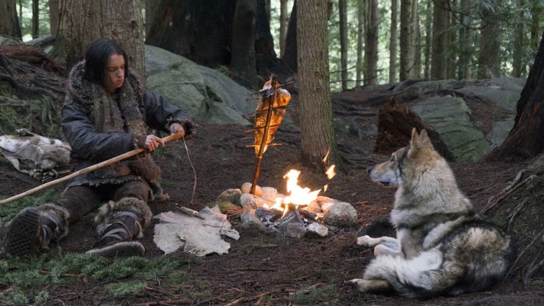 Альфа backdrop 3