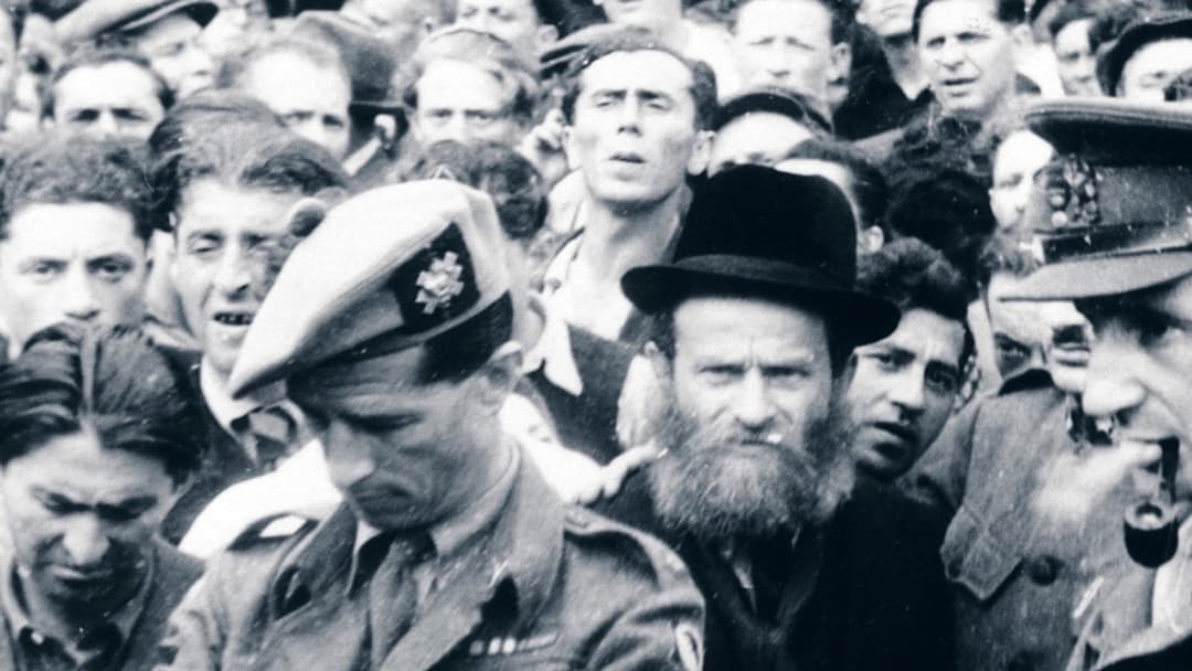 Les survivants, l'impossible départ après la Shoah backdrop 11