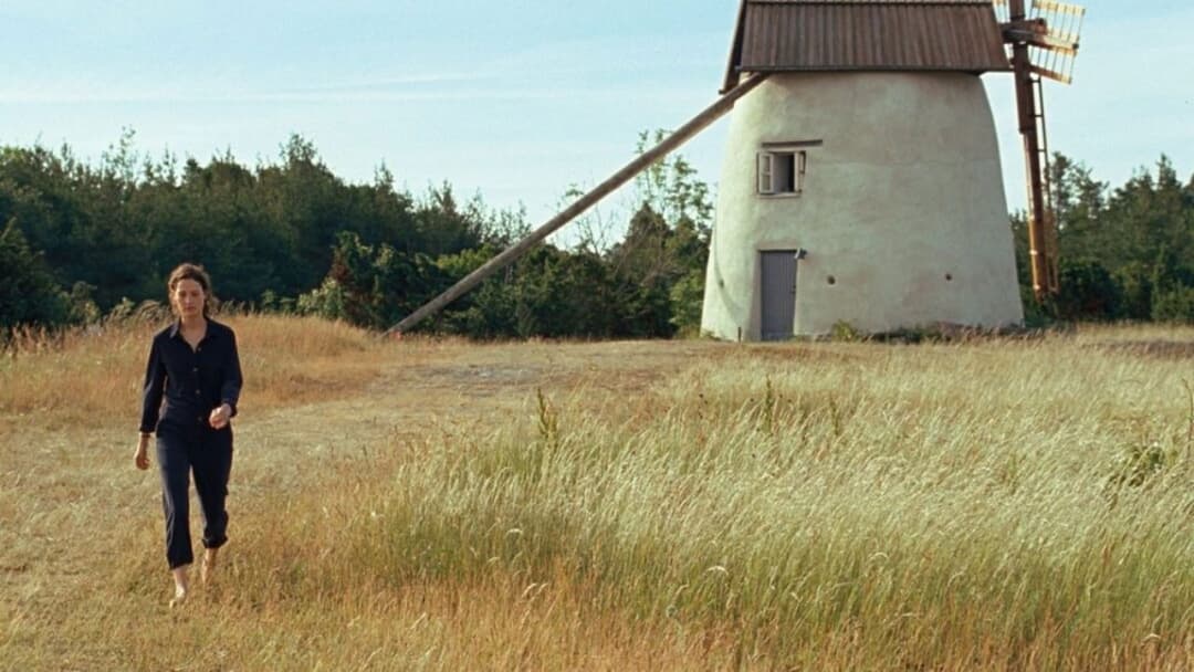 Bergman Island backdrop 9