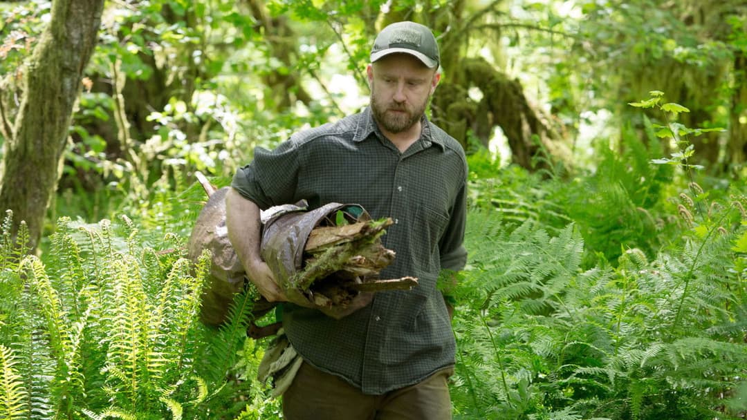Не залишай слідів backdrop 8