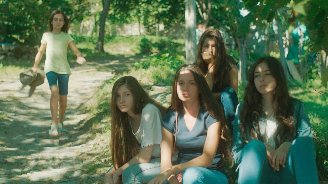 Мустанг backdrop 4