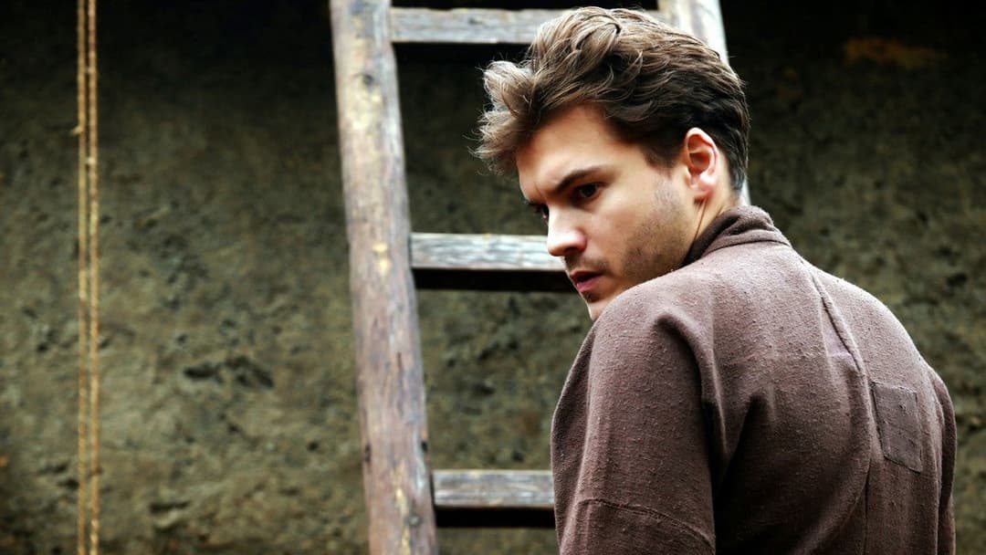 烽火芳菲 backdrop 9