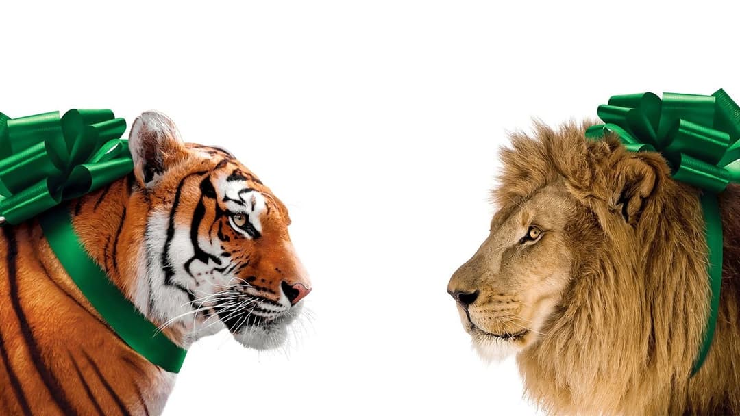 Ми купили зоопарк backdrop 10