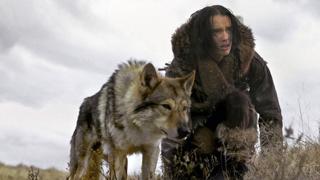 Альфа backdrop 6