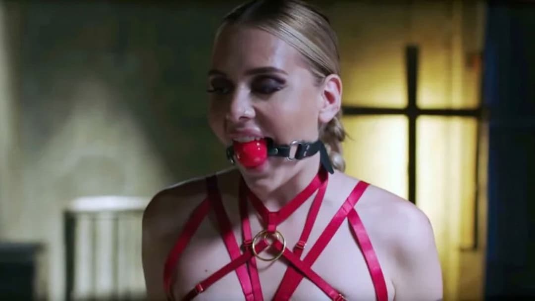 Pleasure backdrop 17