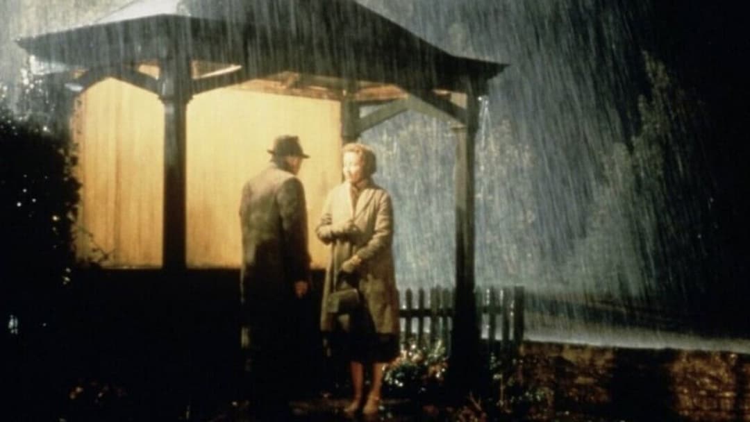 Наприкінці дня backdrop 5