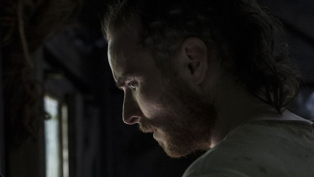 The Survivalist backdrop 17