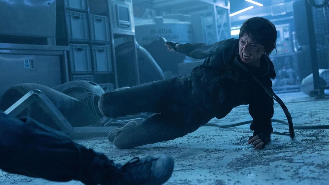 Клінер backdrop 5