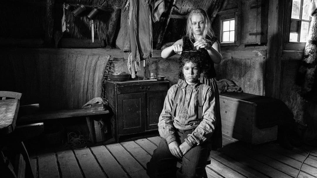 Пофарбоване пташеня backdrop 6