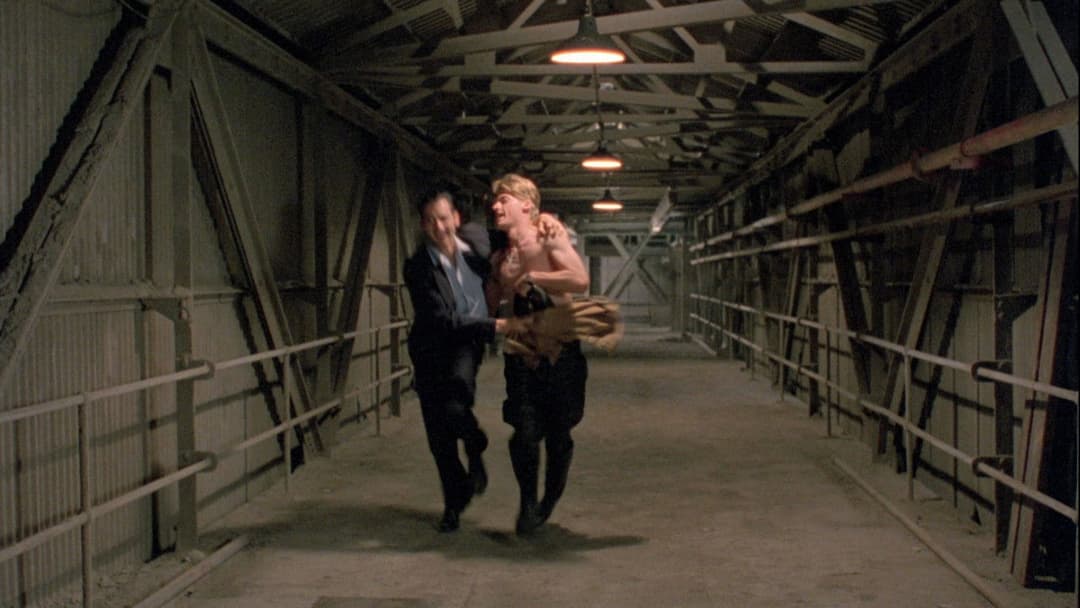 Схильність backdrop 1