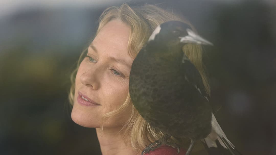 Beflügelt – Ein Vogel namens Penguin Bloom backdrop 12