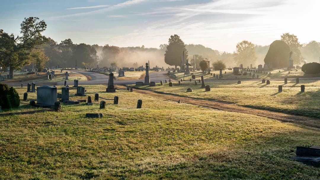 Raymond & Ray backdrop 10