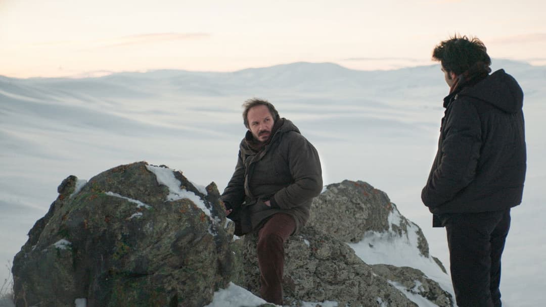 Про траву, що засихає backdrop 14